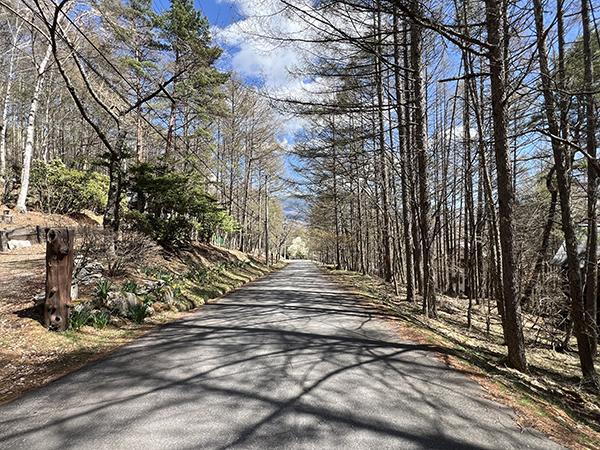 detached 大門追分