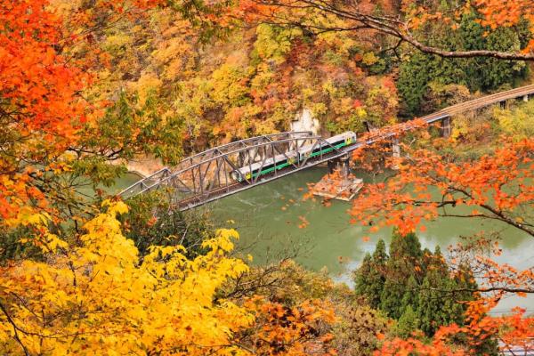 detached 福島県金山町