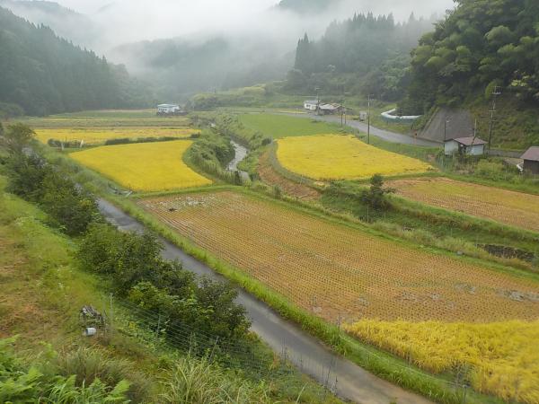 detached 福知山市三和町中出