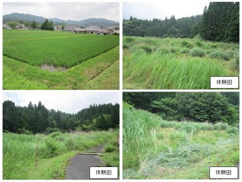 detached 岡山県苫田郡鏡野町上齋原 - 周辺情報を調べる