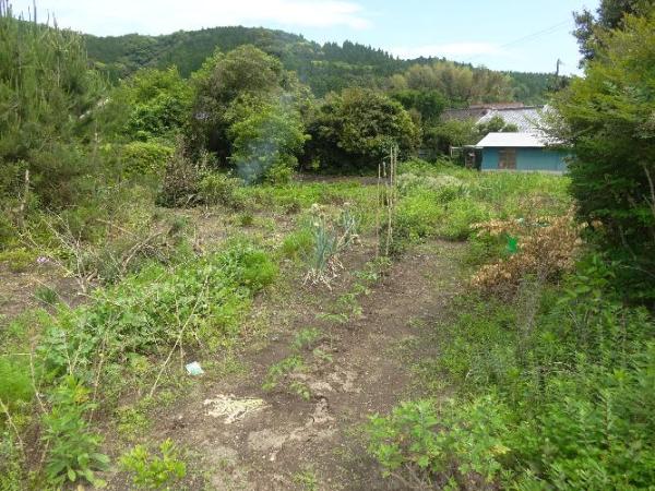 detached 川辺町